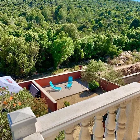 Villa Dream 度假居 Vinišće