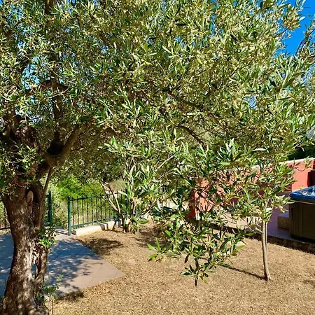 Villa Dream 度假居 Vinišće